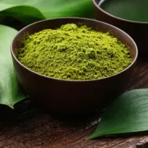 Fresh Green Tea leaves representing the antioxidant power within the Gelatine Sculpt formula.
