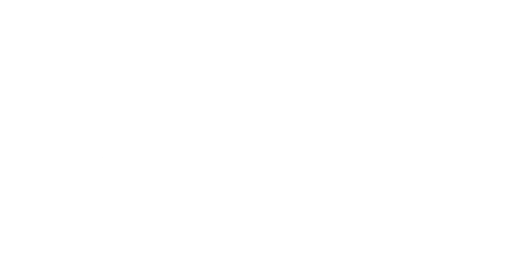 MaroBrain official logo text in professional typography, representing the premium cognitive and memory enhancement supplement.